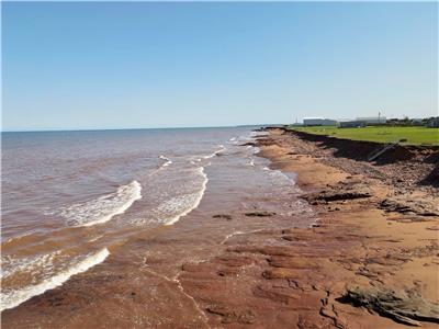 2 Bedroom Ocean Front Cottage