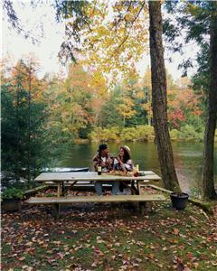 Luxury Fall Escape: Sauna,Fire pit(incl.Wood), Pet-Friendly, EVcharger, Picnic table,AMAZING views!