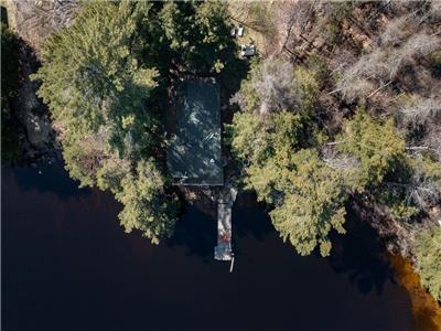 Whispering Woods Lakefront Cabin|Water|Kayak|BBQ