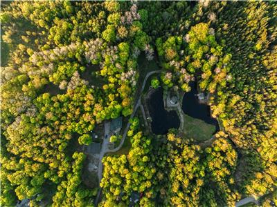 Breathtaking Private Resort on 15 Acres w/ Cabin, Hot Tub, Paddle Boards, Ponds, FirePit, Games Room