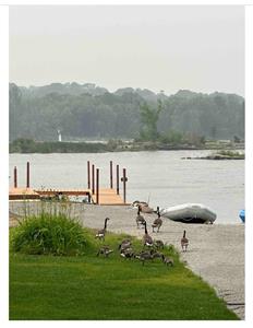 Retraite au bord de l'eau de Duck Bay