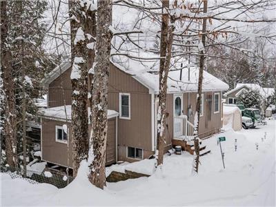 Renovated Cottage in the Kawarthas - Hot Tub & Pet Friendly!