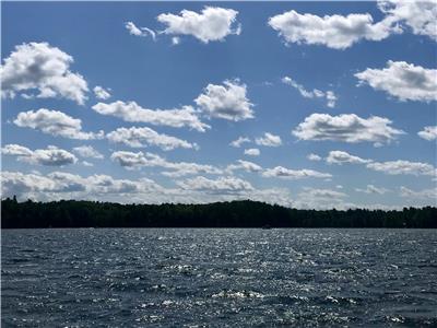 NEW: Waterfront Family Home on Clear Lake