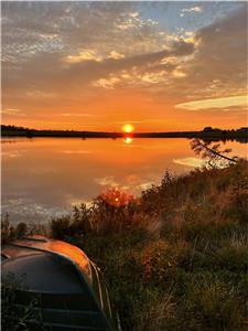 Moose River Cottage