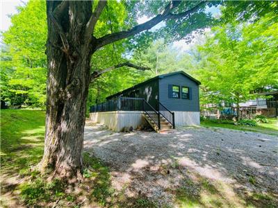 Gorgeous unit on a large site with huge driveway!