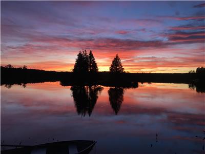Squirrel Away Cottage - Quiet Lake, Outdoor Hot Tub, Sauna, Canoe, Kayaks, SUPS, 500 DVDs