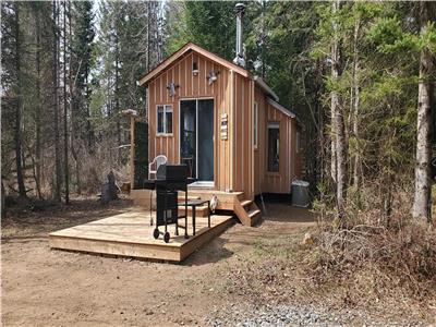 Off Grid Cabin In The Woods