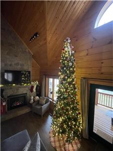 Aromatherapy Sauna + A Foodie's Kitchen + Comfy King Beds + Glowing Fireplace and Log Cabin Vibes