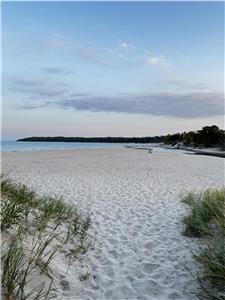 The Cedar Shore