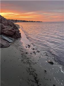 Petit chalet cozy bord de mer