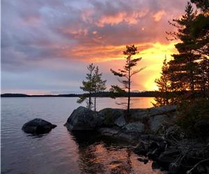 One-of-a-kind private peninsula - no other cottages in sight!