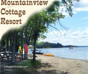Waterfront Cottages on Golden Lake.Beautiful shallow entry, sandy beach ,paddleboats,kayaks,canoes