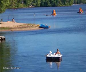 Beachfront Cottages on Golden Lake.Beautiful Safe sandy beach ,paddleboats,kayaks,canoes 2 or 3 BDRM