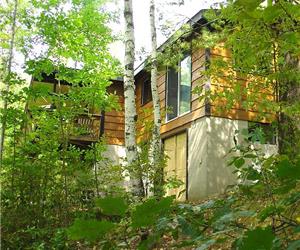 Cottage in the Treetops