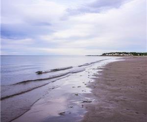 Seaview Cottage