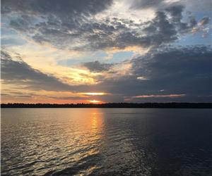 Chemong Lake Waterfront Cottage