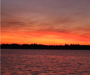 Chemong Lake Waterfront Cottage WE HAVE 1 WEEK LEFT FOR THIS SUMMER JULY 22-29!!!!!