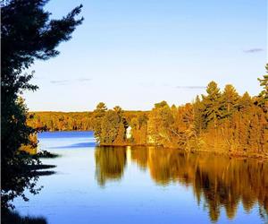 Family Staycation for 14 in Lux Lakehouse with 10 Acres of Private Woodland 90 mins from Toronto