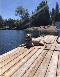 Family Staycation for 14 in Lux Lakehouse with 10 Acres of Private Woodland 90 mins from Toronto