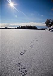 Book your winter getaway!  ICE FISHING / SNOWSHOEING and MORE! Stay cozy in our 4-season Lakehouse
