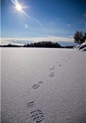 Family day Special! Msg for discount!Book your winter getaway!ICE FISHING/SNOWSHOEING and MORE!