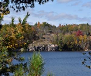 Pineridge Cottages in Beautiful Parham, Ontario