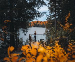 H2H Cottage Bitter Lake: Cozy and Stylish Waterfront Haliburton Rental Cottage - Couples or Family