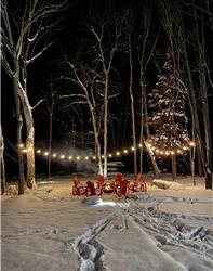 Selena Lakehouse - Luxury New Build Muskoka Cottage 4 bedroom