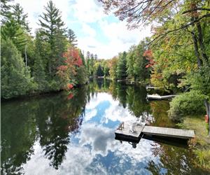 Nest Vue Muskoka River Cottage