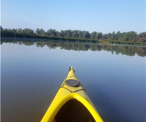 Wildlife Couples Getaway - The Blue Heron