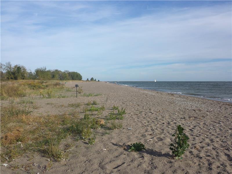 Greg's Getaway Erieau Cottage Rental GL10371 CottagesInCanada