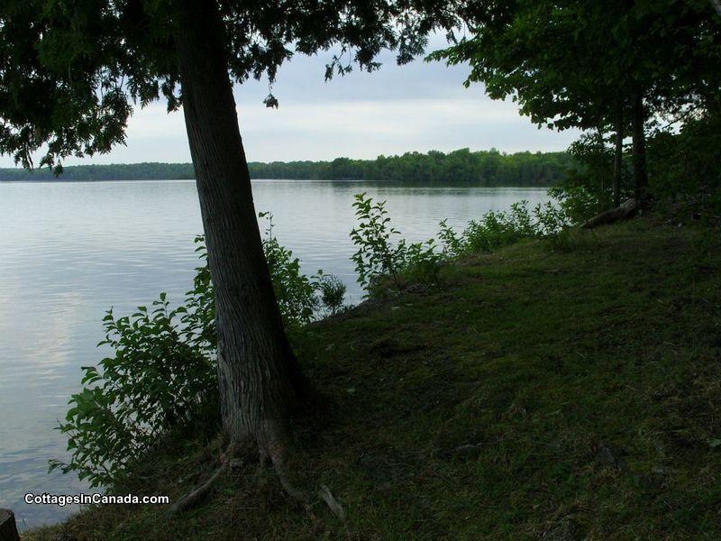 Manitoulin Island Cottage for Manitoulin Island Cottage Rental DI15631 CottagesInCanada