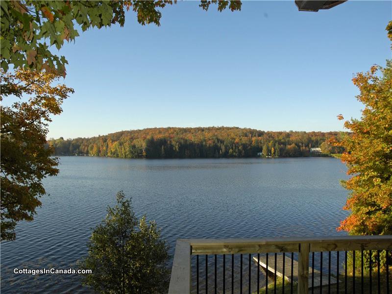 Mapleview Cottage... On the Sandy Novar Cottage Rental DI16667