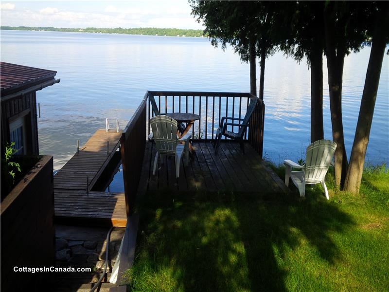 BALSAM LAKE 6 BDRM WATERFRONT Fenelon Falls Cottage Rental GL17863