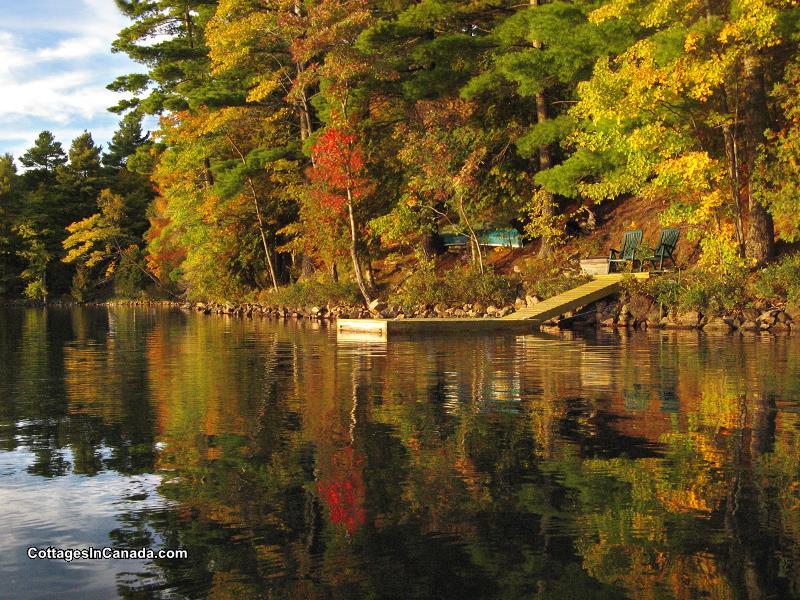 Cottage in the Treetops Parham Cottage Rental DI17924