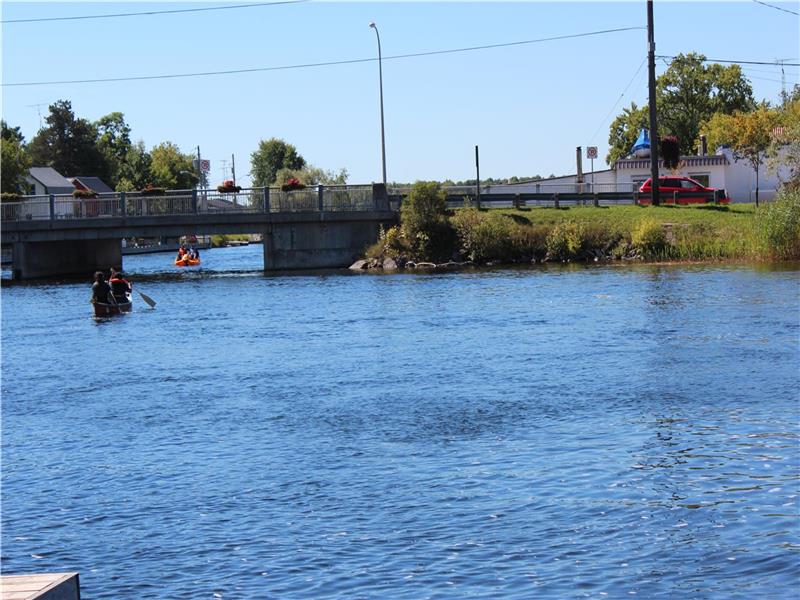 BALSAM LAKE Cottage 5Bdr Coboconk Cottage Rental DI18004 CottagesInCanada