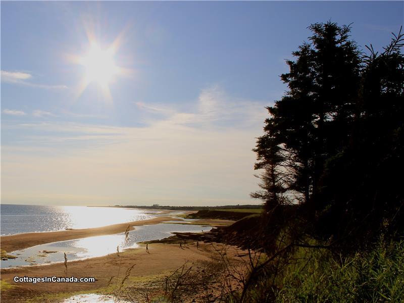 Desired Haven Cottages Charlottetown Cottage Rental Pl 18535