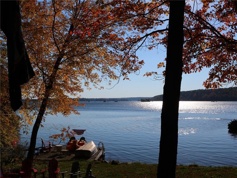 Child Friendly - Sandy Beach - - Buckhorn Cottage Rental | DI-19381 ...