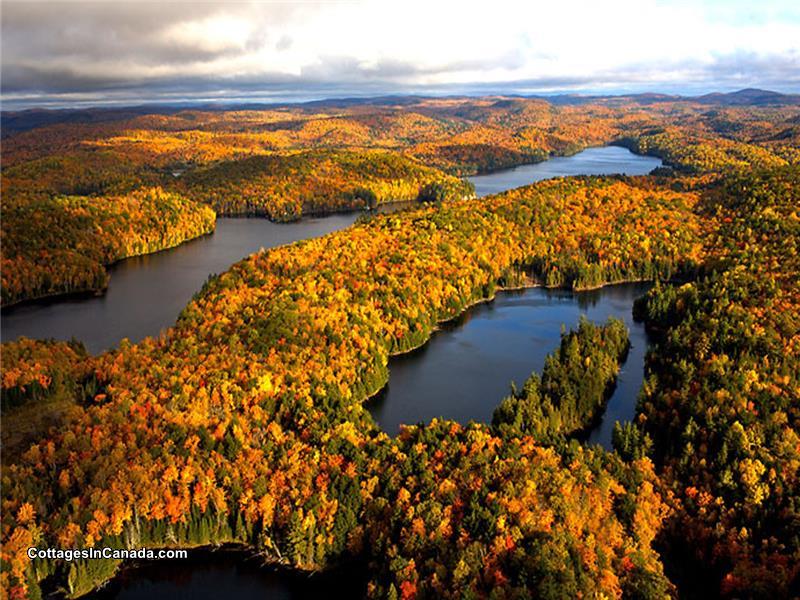 Barnstone Retreat. Luxury MulgraveetDerry Cottage Rental DI19386