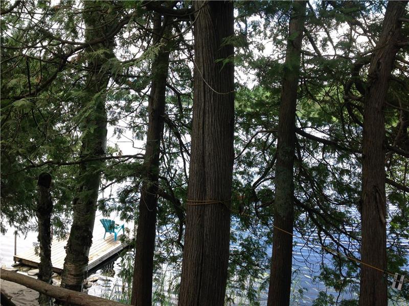 Private Lake Cottage near Perth Cottage Rental GL19543