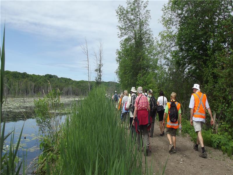 Bay Beach Cottage Victoria Harbour Cottage Rental PL19922