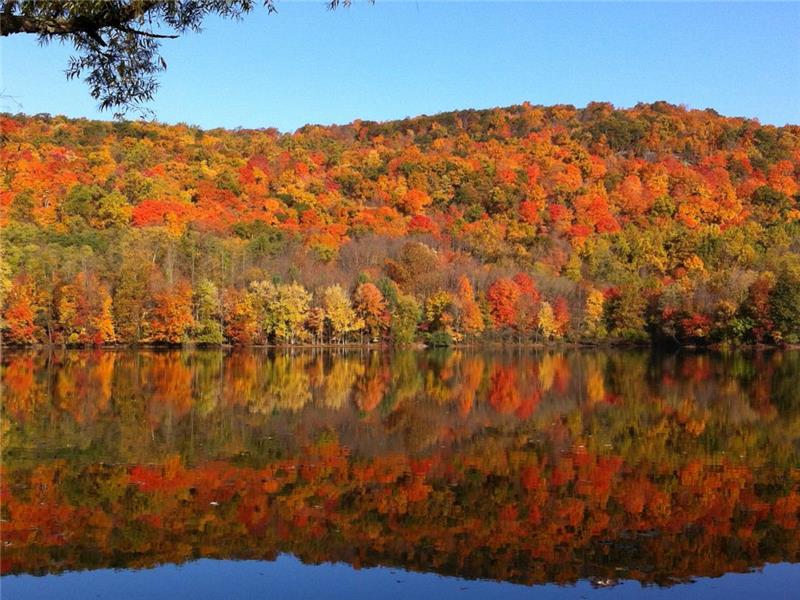 Luxury on Falls Lake, Nova Scotia Windsor Cottage Rental DI20743