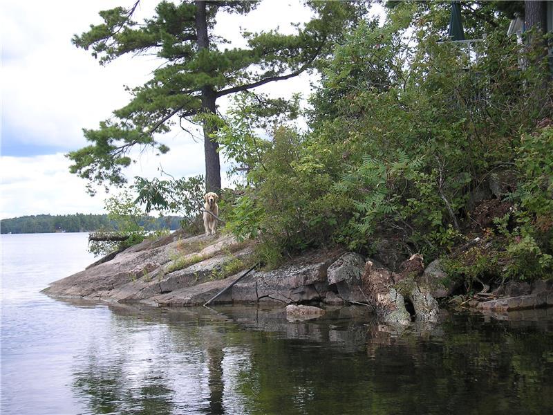 Charleston Lake sters Bay Charleston Lake Cottage Rental DI