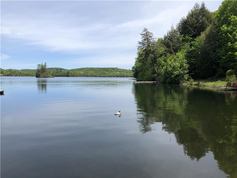 Sandy Shores of Loon Lake! Kearney Cottage Rental DI20841