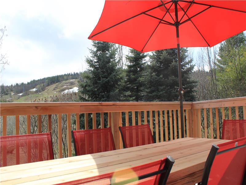 The 3 Pines Chalet view on the Calabogie Cottage Rental DI21068