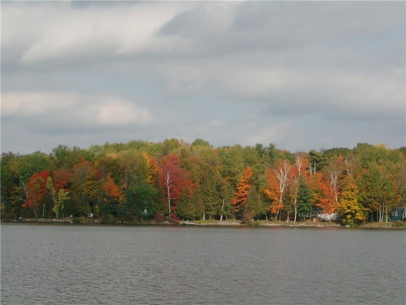 PRIVATE "ROYAL OAKS" WATERFRONT Coboconk Cottage Rental DI22179