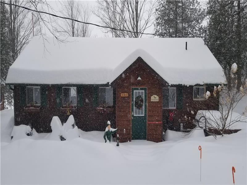 Salmon Trout Lake Summerhill Bancroft Cottage Rental DI22485