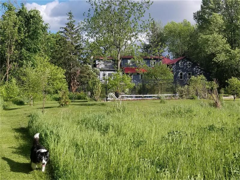 Beautiful Waterfront property with Picton Cottage Rental DI22579