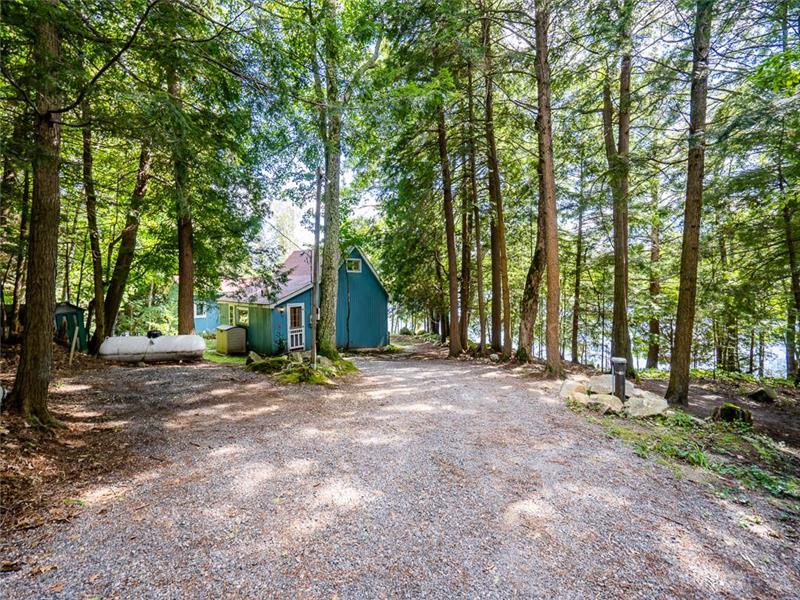 Pine Cottage Lake of Bays Baysville Cottage Rental DI23775