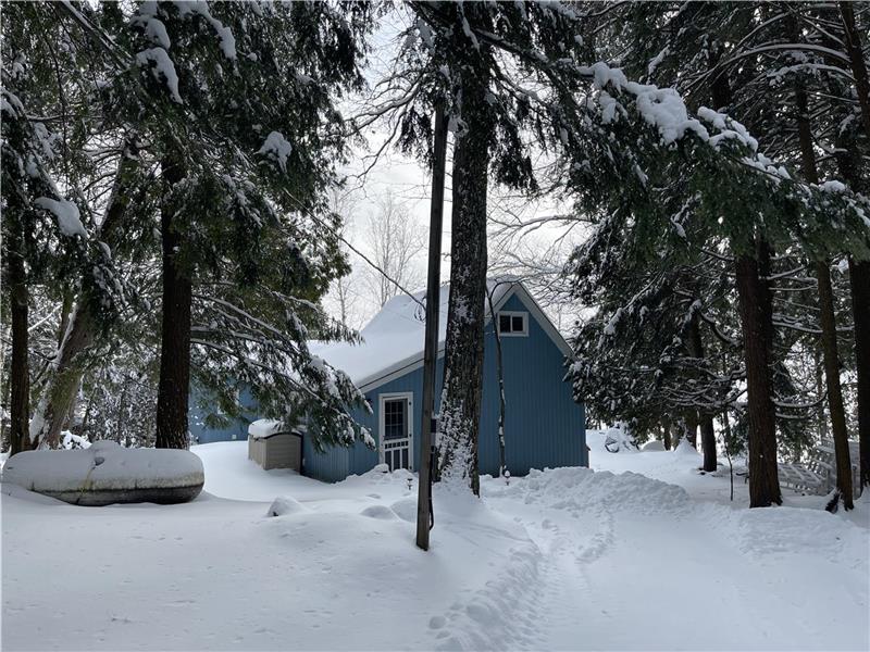 Pine Cottage Lake of Bays Baysville Cottage Rental DI23775